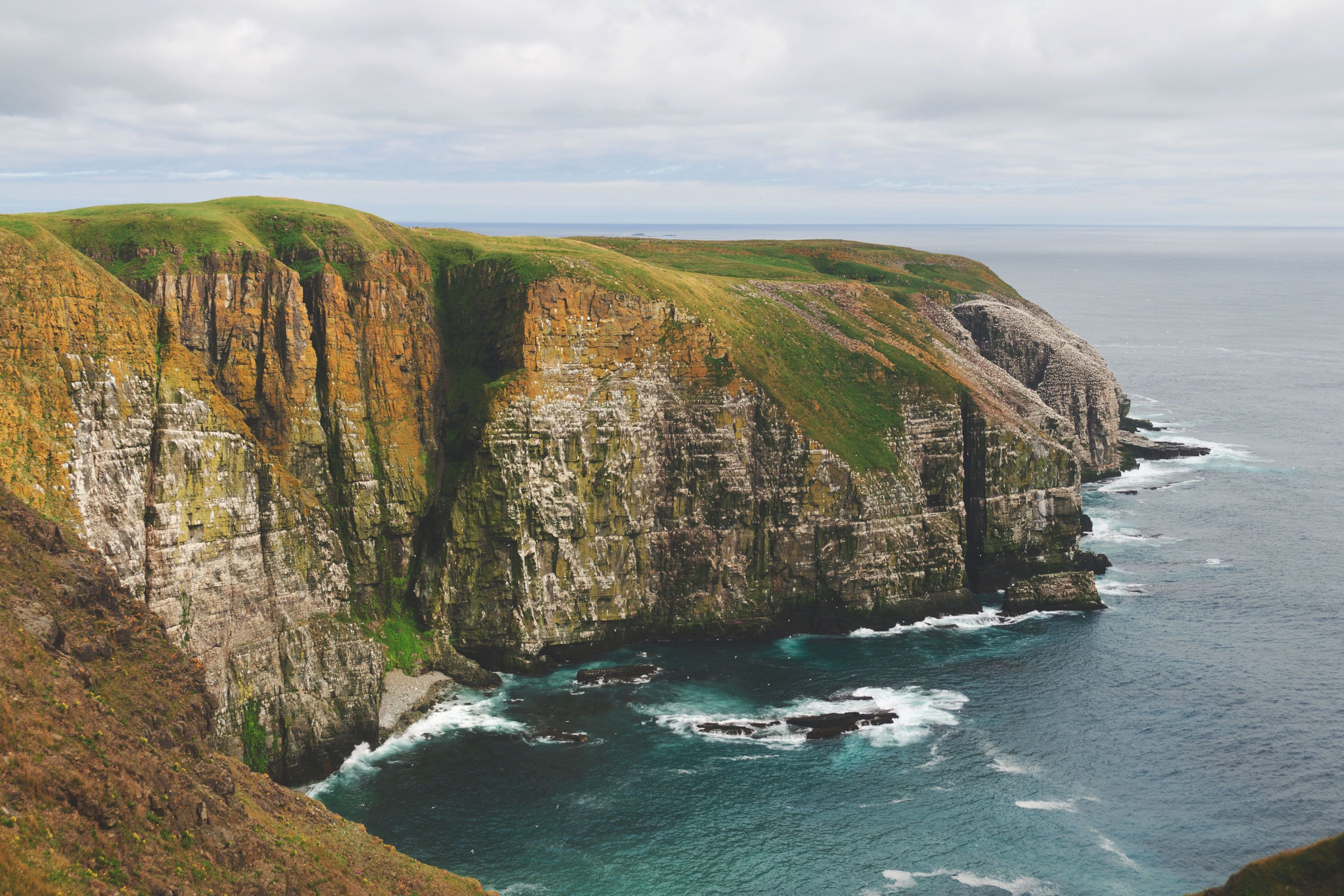 Grieg Seafood Newfoundland News