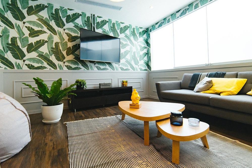 living room with palm print wallpaper, couch, coffee table and tv on wall