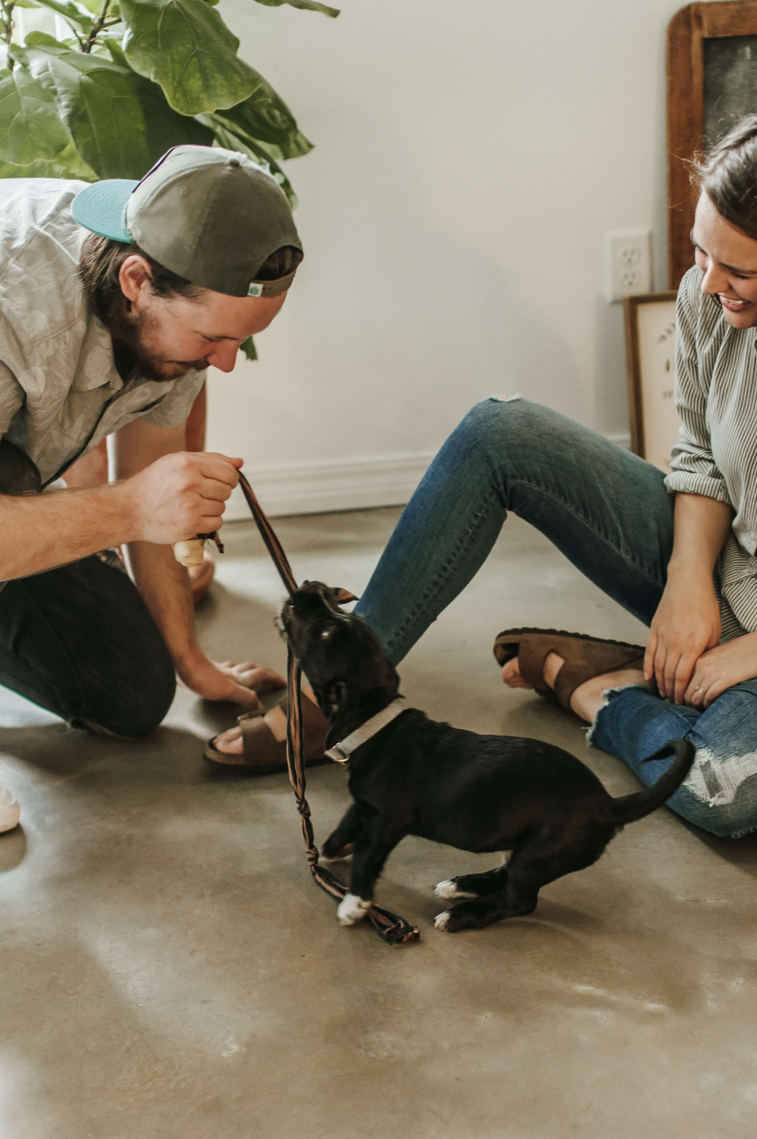 couple playing with black puppy and lead