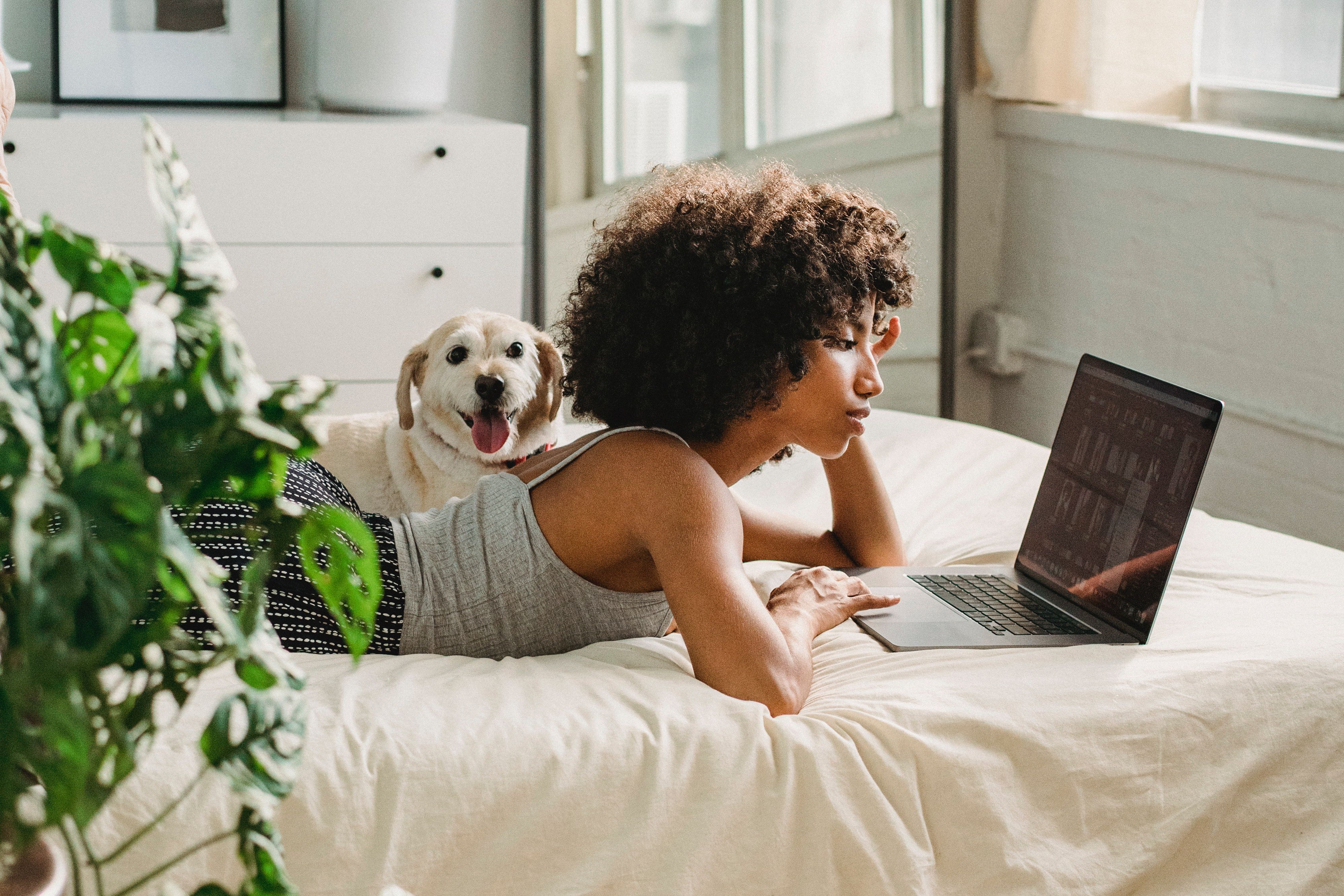 Woman laying on bed reading her laptop screen. Dog on bed beside her.