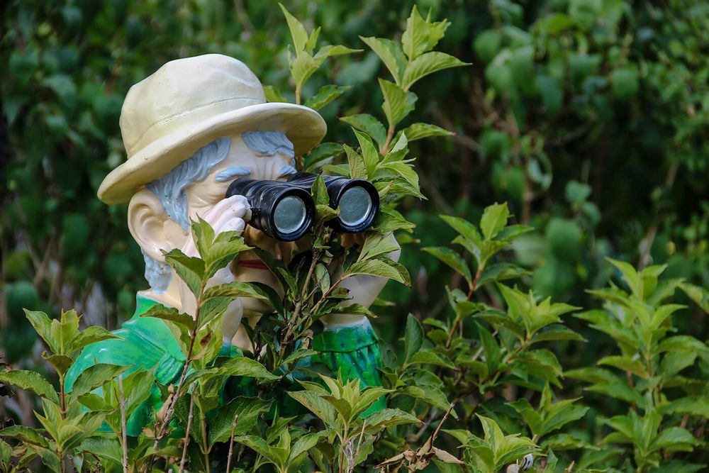 figurine man hiding in bushes with binoculars 
