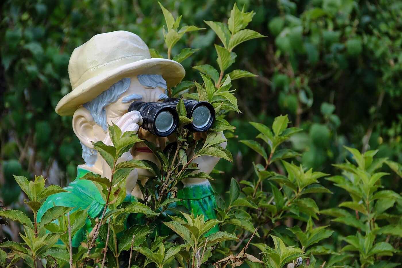 figurine man hiding in bushes with binoculars