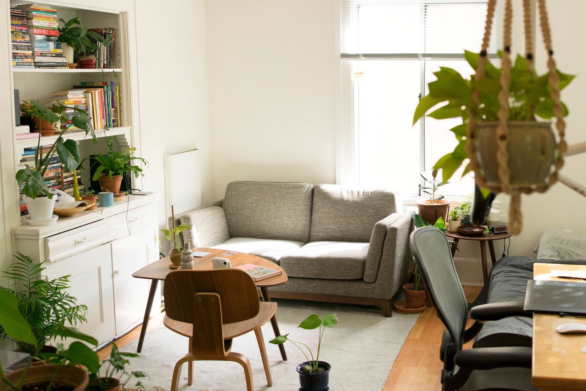 living room with desk in corner + bookshelf + hanging plant