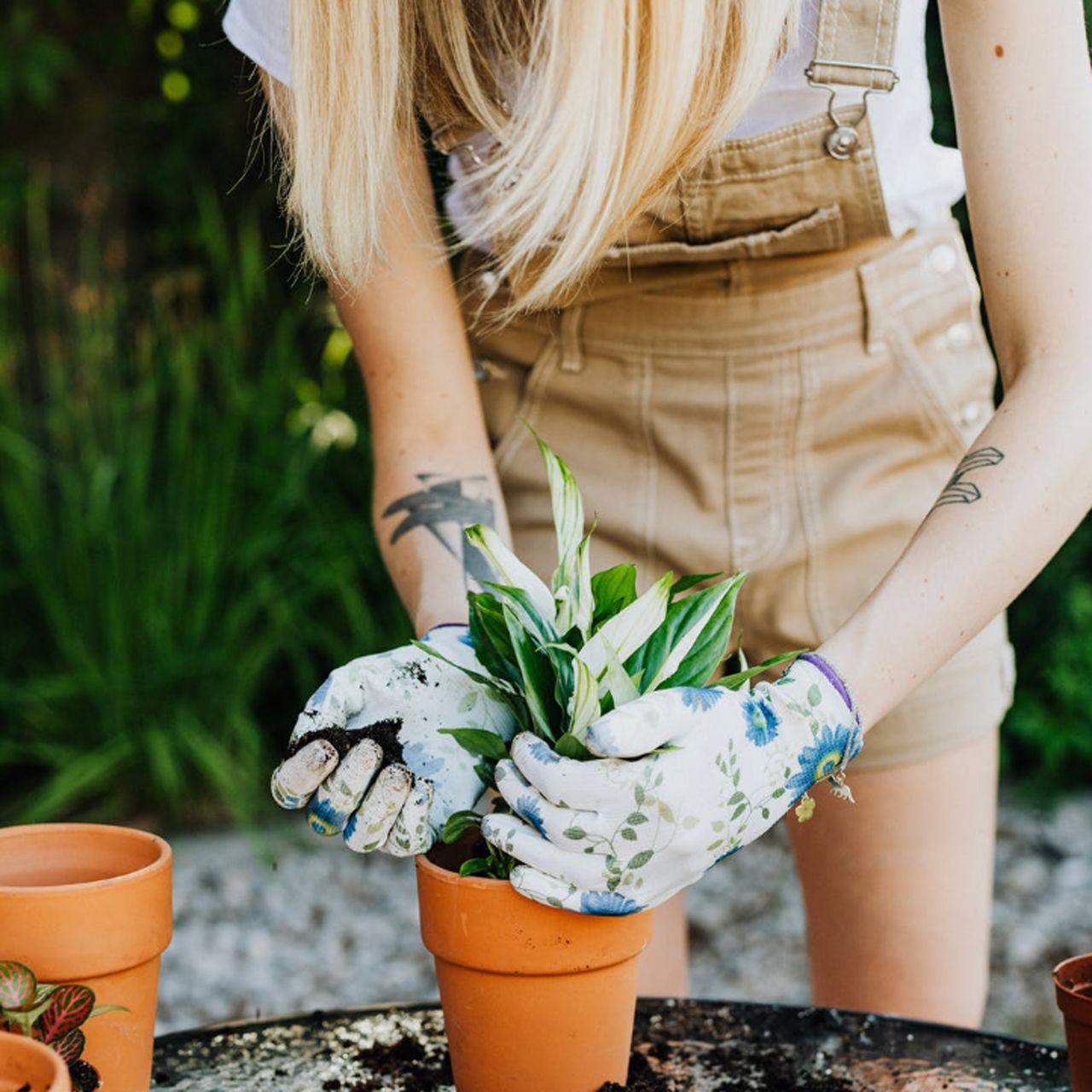 Woman in beige overalls and gardening gloves planting a pot plant