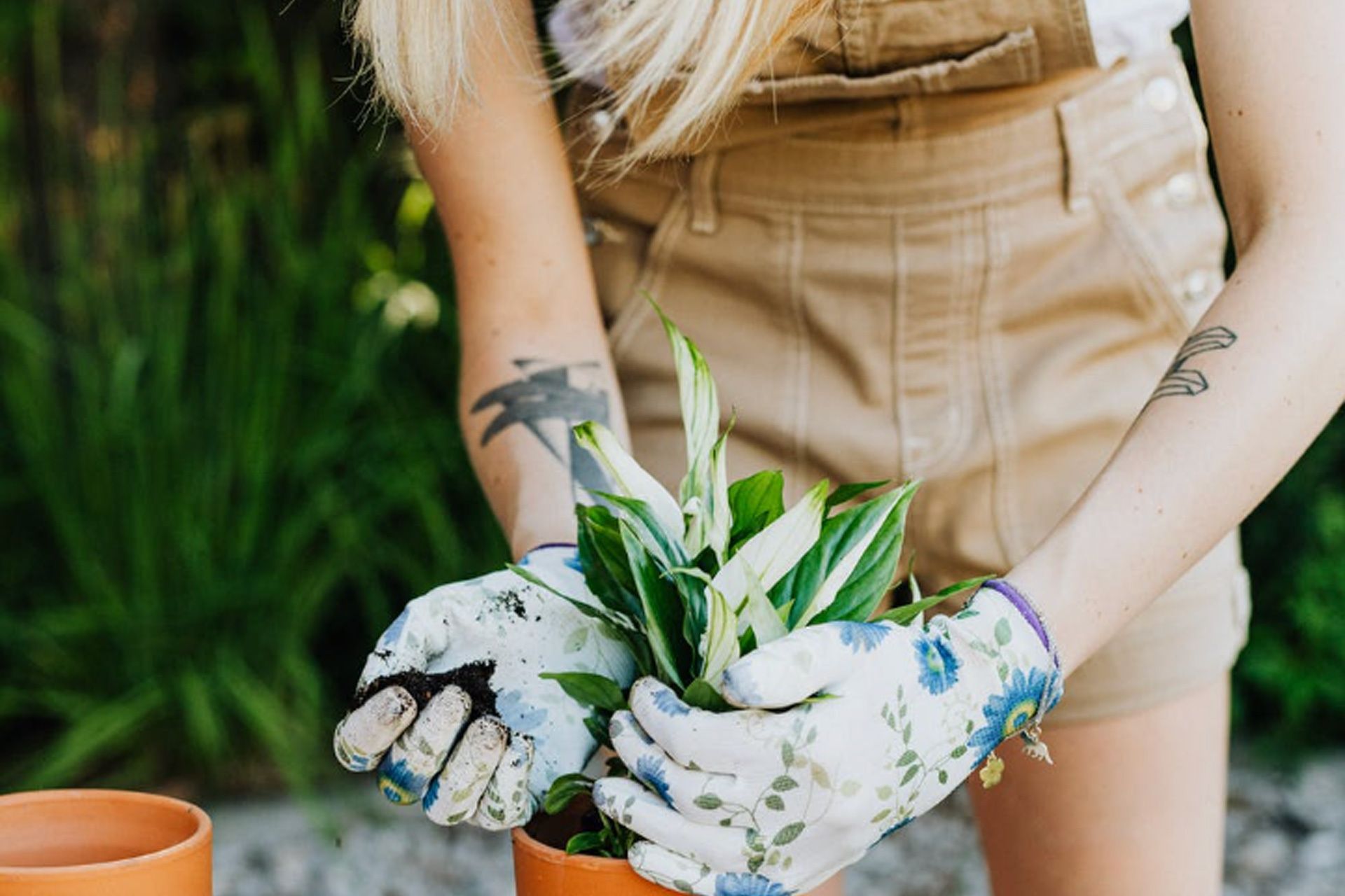 Woman in beige overalls and gardening gloves planting a pot plant