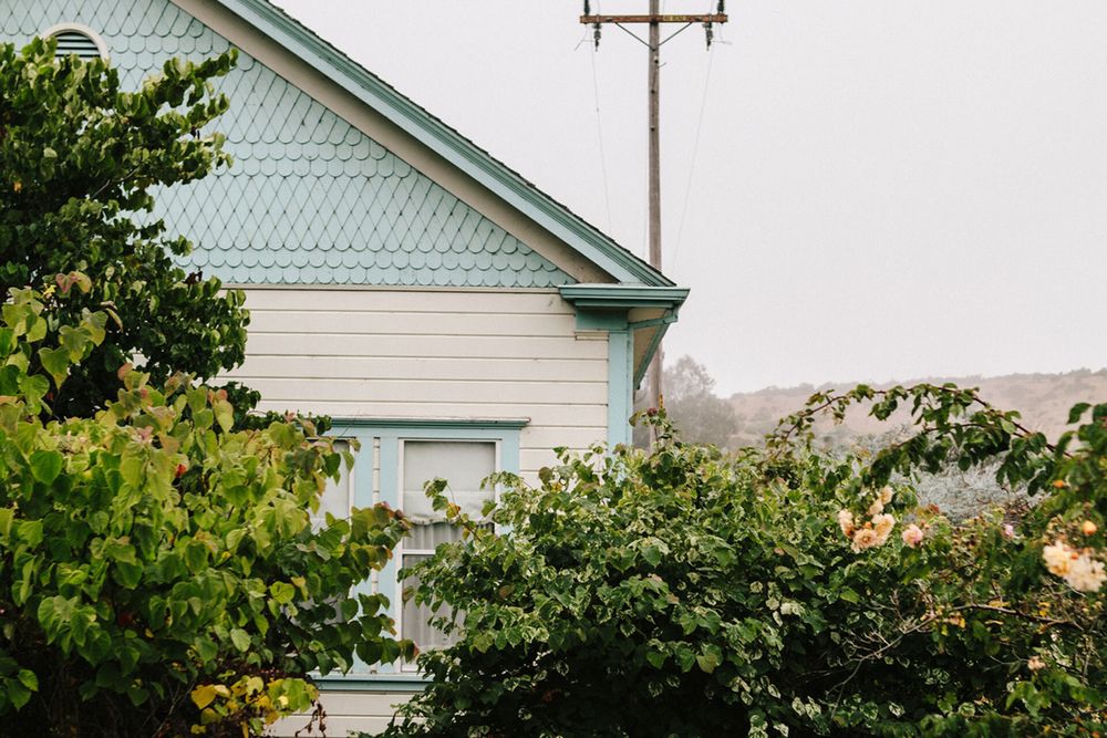 Top of blue house against grey sky with plants covering the front