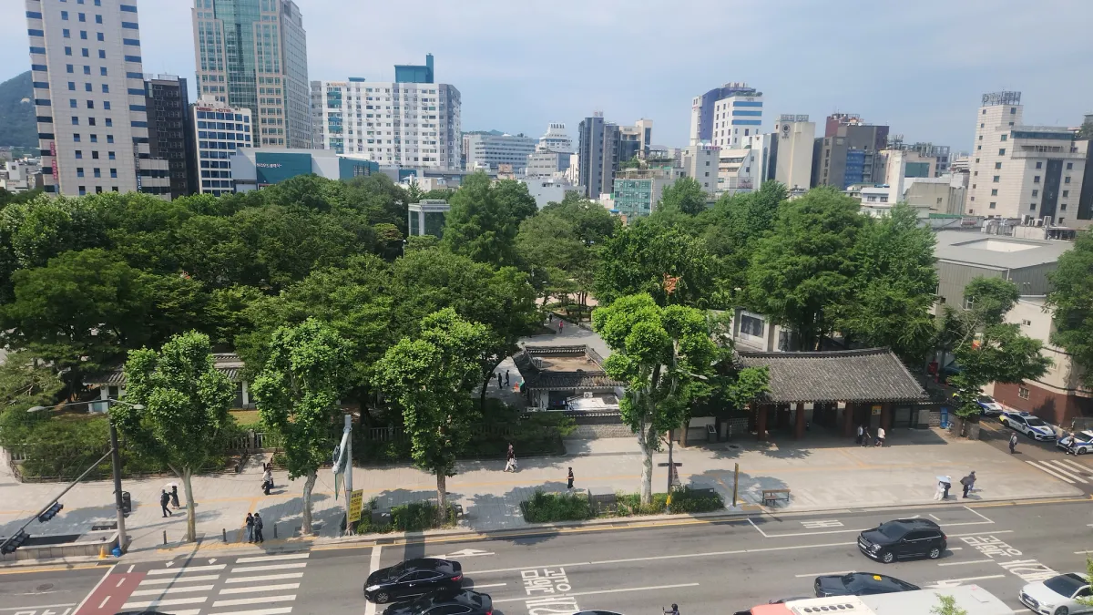 여름의 푸른 잎 그늘이 전통 정문을 도시 스카이라인을 배경으로 감싸 안은 서울 종로 탑골공원의 항공 풍경