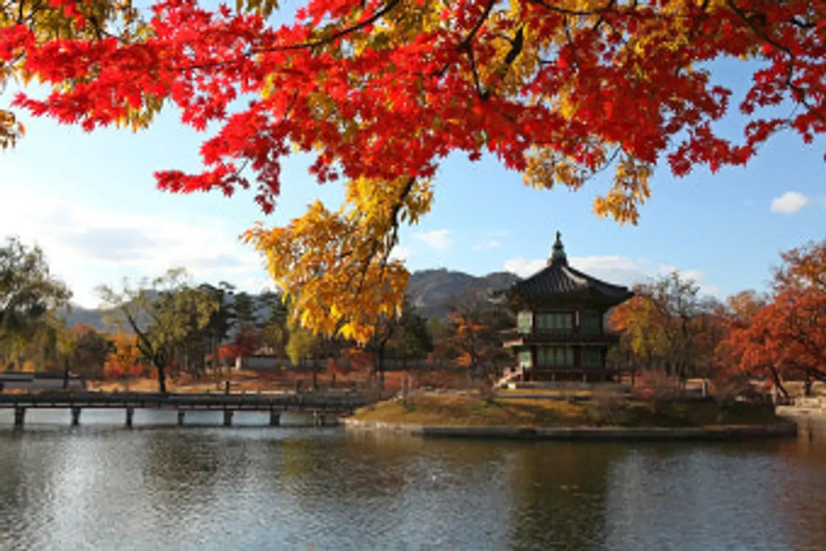 Hyangwonjeong Pavilion mirrored in the pond at Gyeongbokgung Palace, framed by crimson autumn maple leaves