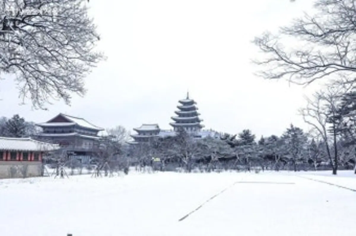 Snow-covered grounds of Gyeongbokgung Palace with the tiered pagoda of the National Folk Museum in winter