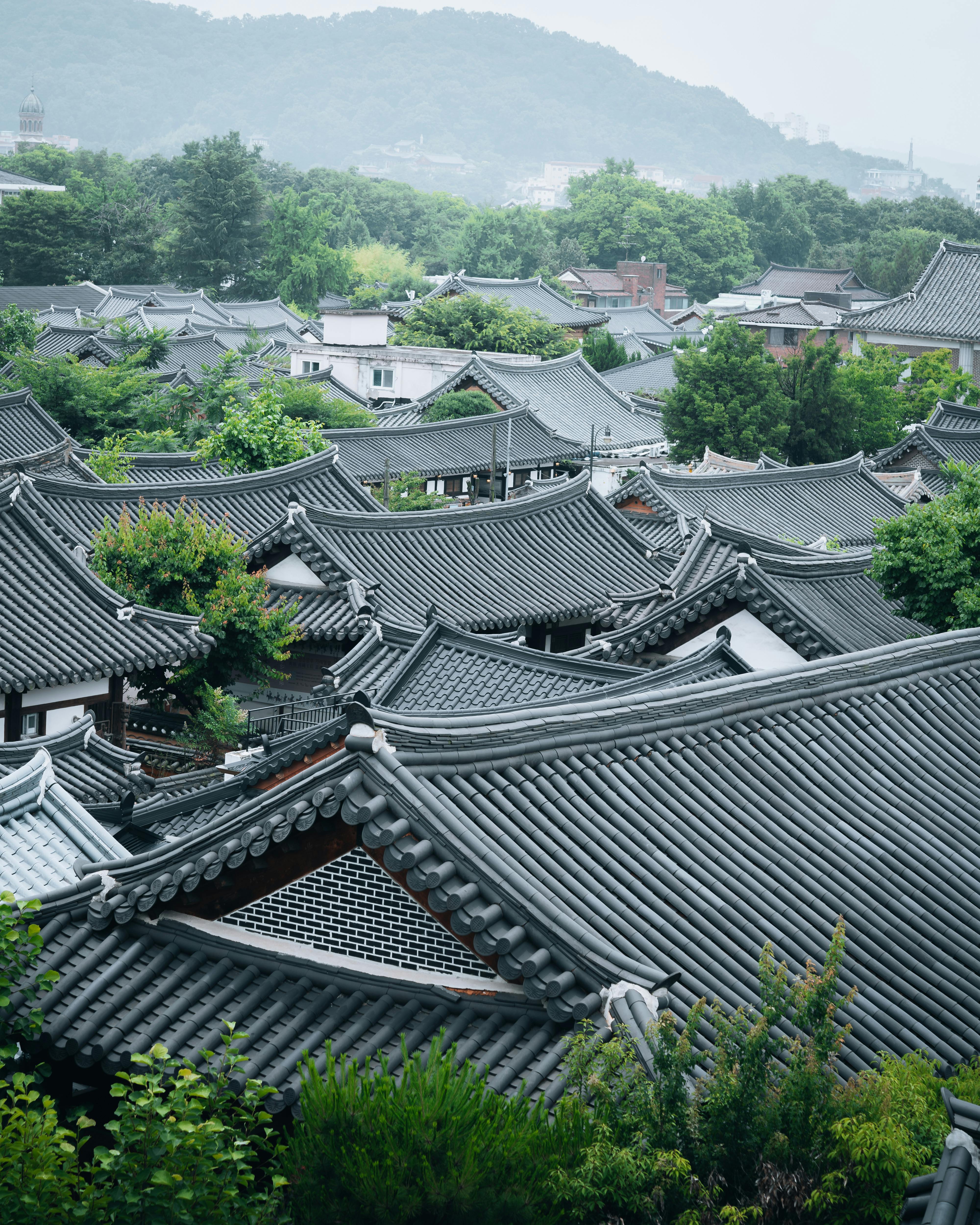 옅은 안개에 싸인 푸른 언덕을 배경으로 층층이 펼쳐진, 전주 전통 한옥마을의 곡선미가 살아 있는 기와지붕