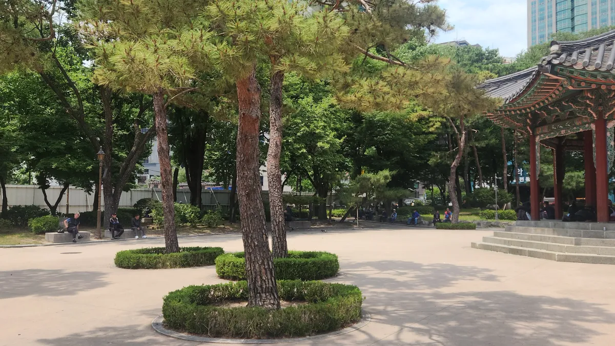 여름 햇살 속 소나무와 단정한 화단, 한국 전통 정자가 자리한 종로 탑골공원