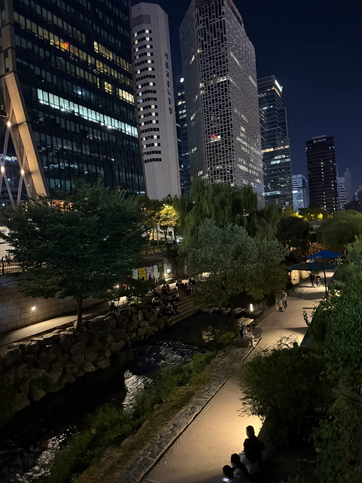 Cheonggyecheon stream at night with the illuminated Seoul skyline behind