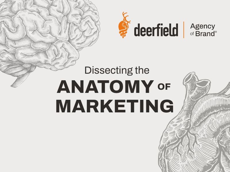 Dissecting the anatomy of marketing