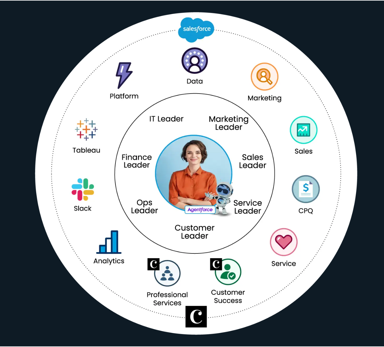 Salesforce Developer screenshot