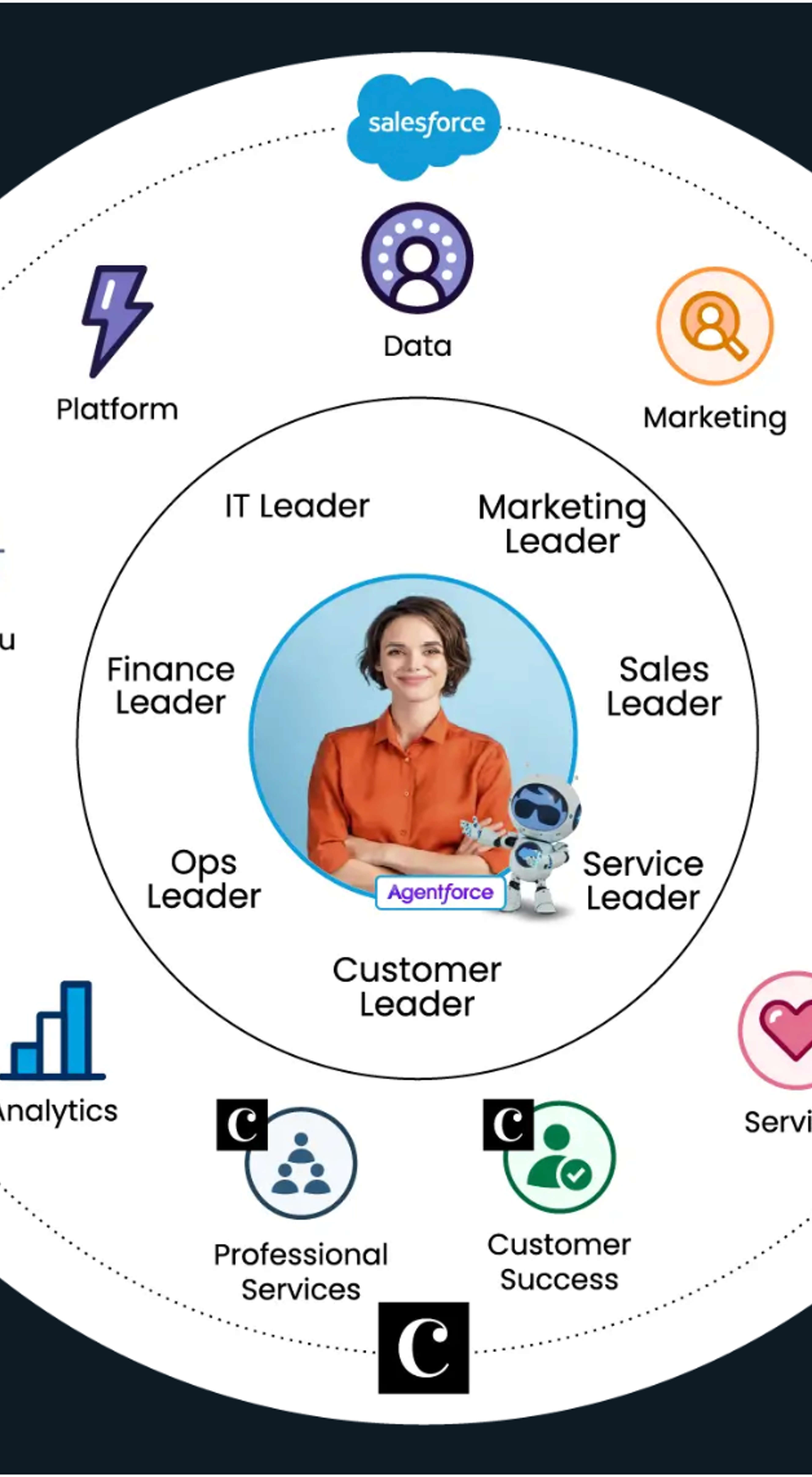 Salesforce Developer screenshot