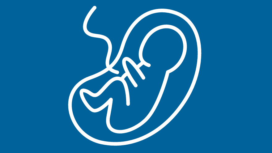 Baby in womb graphic