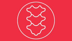 Pediatrics spine icon