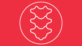 Pediatrics spine icon