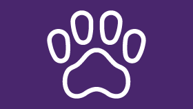 a white paw print on a purple background