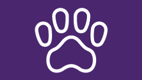 a white paw print on a purple background