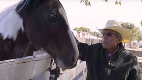 Man with horse at his ranch in Reno, NV