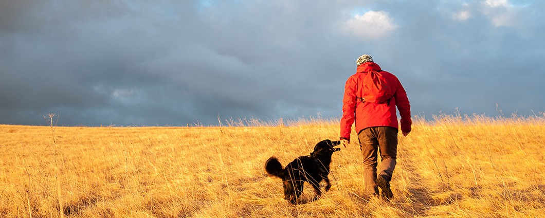 Senior Man Walking the Dog, Golden Hour in Winter