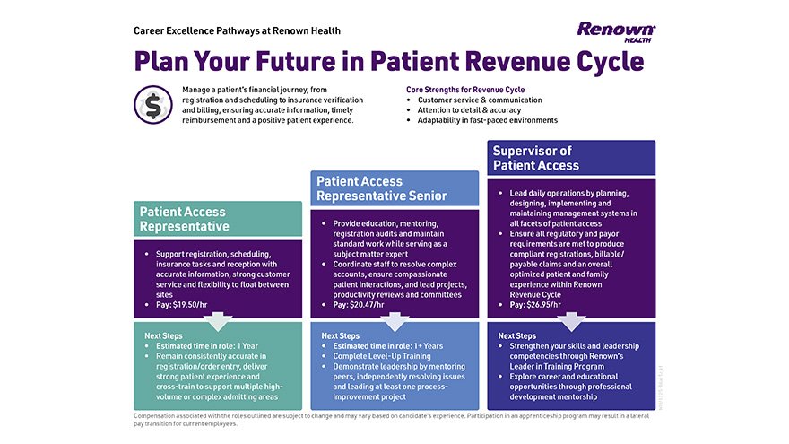 Career Excellence Patient revenue graphic