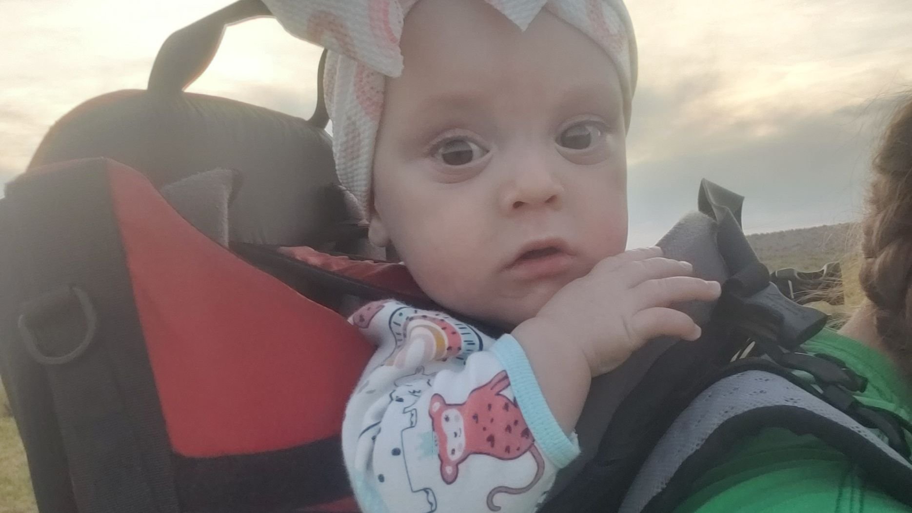 sloan hitches a ride in moms backpack on a hike