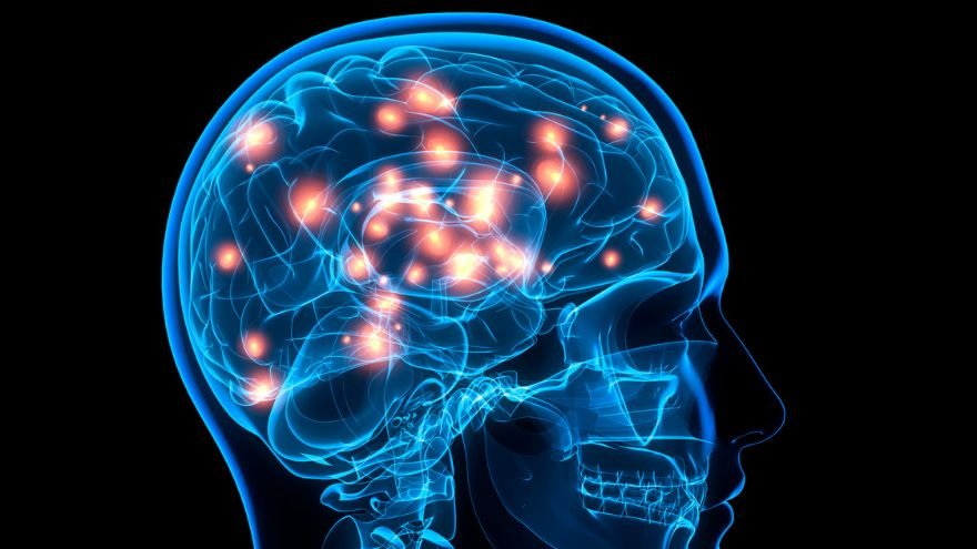 Medical illustration of the brain and neural pathways representing neurology clinical research