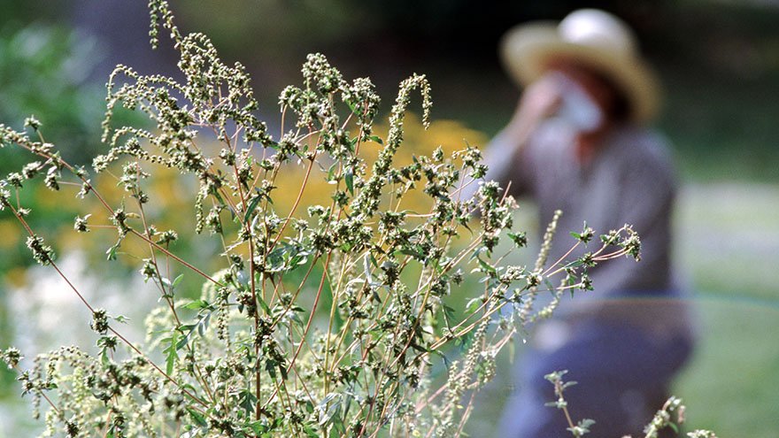 Woman in the background of a garden depicting seasonal allergies