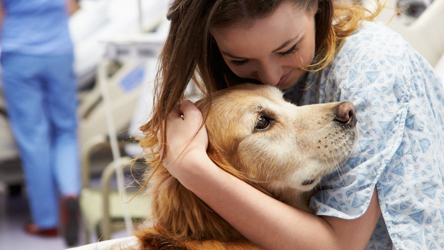 Patient in bed cuddling therapy dog