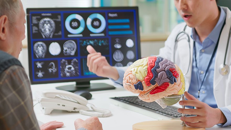 A neurologist uses a brain model to explain conditions like stroke or cancer to an elderly patient