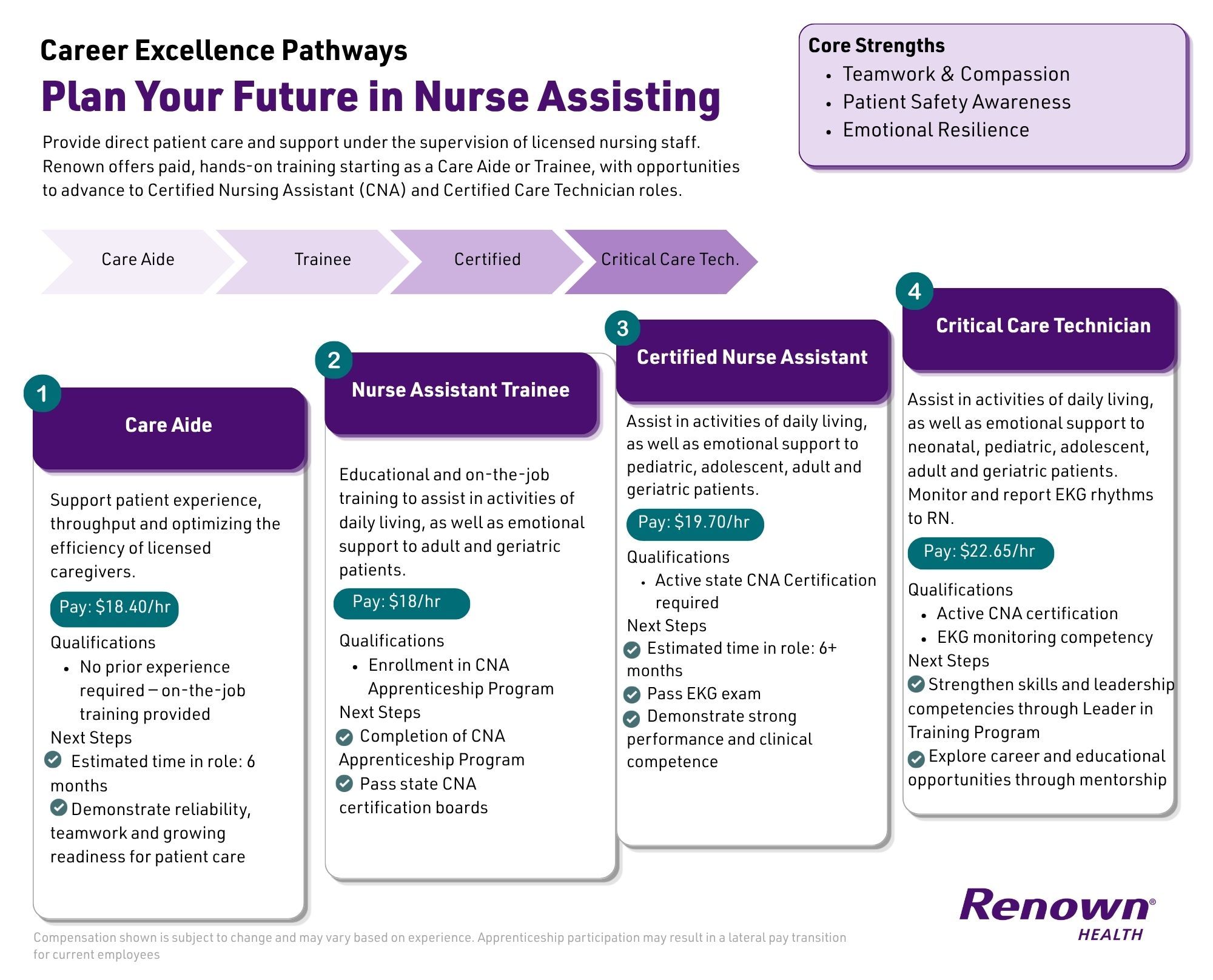 Career Excellence Pathway in Nurse Assisting