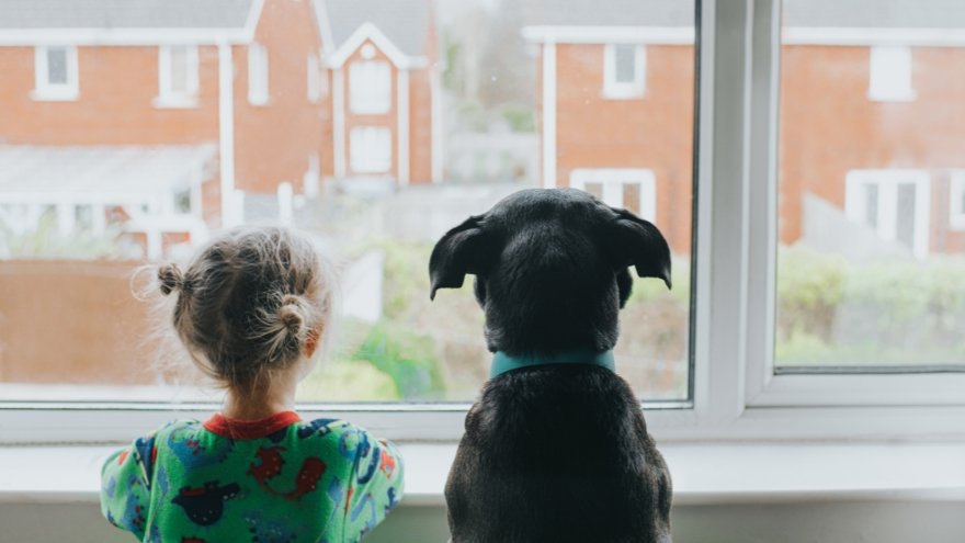 A young child and a black dog look outside from a closed window.