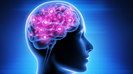 Brain graphic