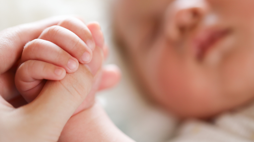 Infant holding adult's hand