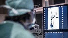 Doctor looking and Neuroradiology imaging