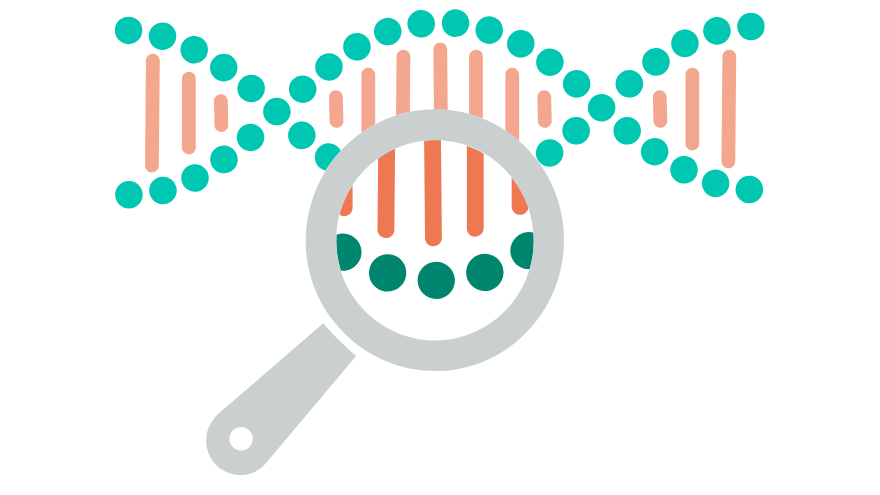 Icon of magnifying glass and DNA strand