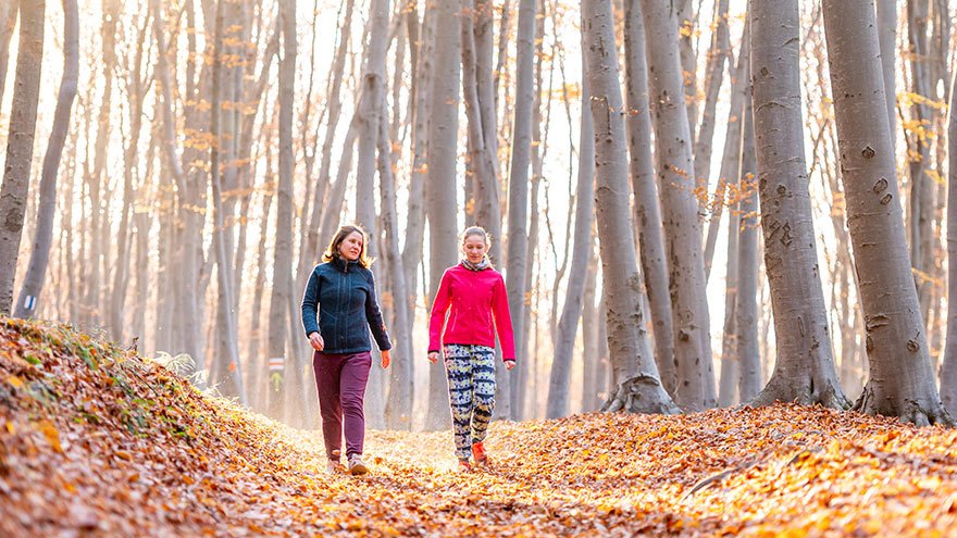 Mom and daughter walk in beautiful forest during Autumn