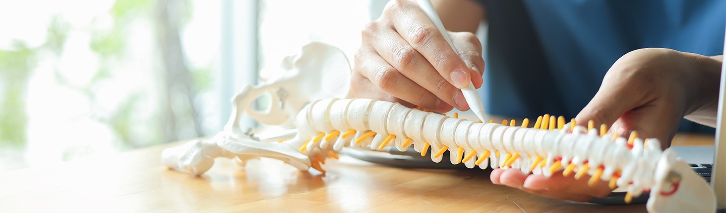 An orthopedic surgeon points to an area on the spine