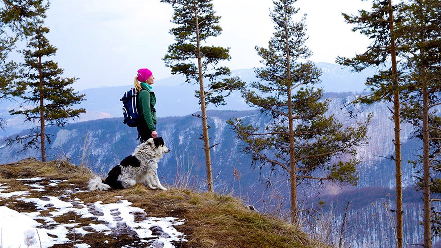 Woman and dog overlooking valley in winter