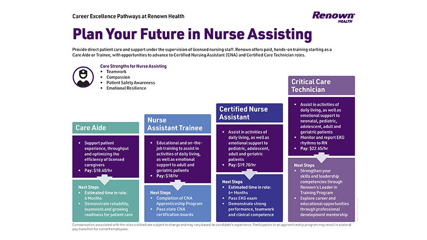 Career Excellence Nurse Assisting infographic.