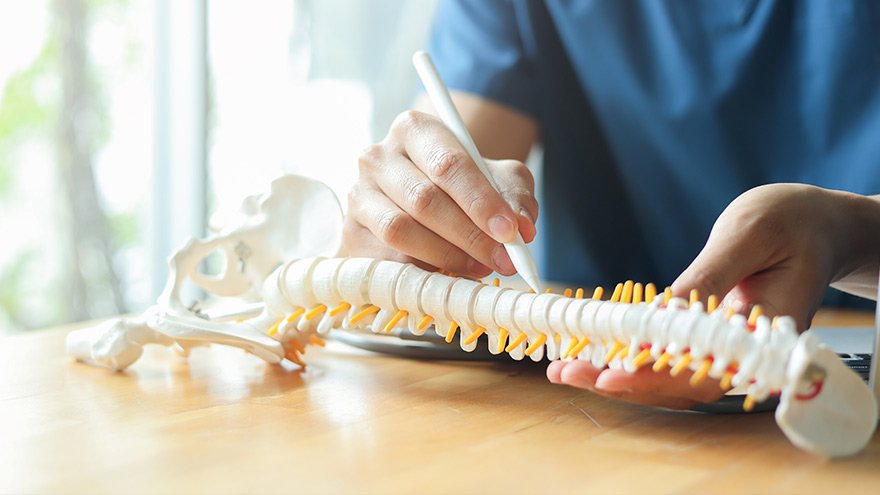 An orthopedic surgeon points to an area on the spine
