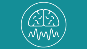 Epilepsy Program