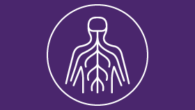 Multiple Sclerosis Program