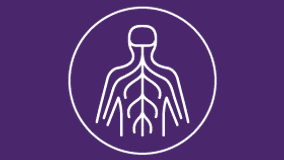 Multiple Sclerosis Program