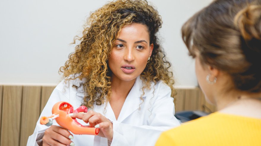 Patient with women's health provider as she explains diagram