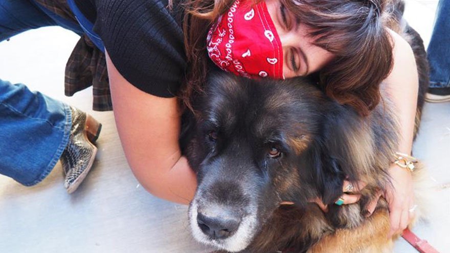 Woman hugging a dog