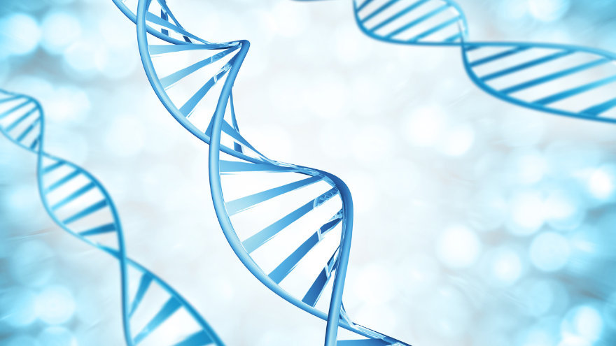 Close-up illustration of blue DNA double helix strands on a light blue abstract background.