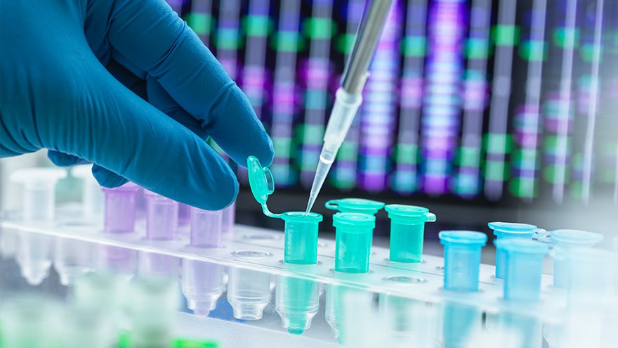 Scientist pipetting DNA sample into eppendorf tube